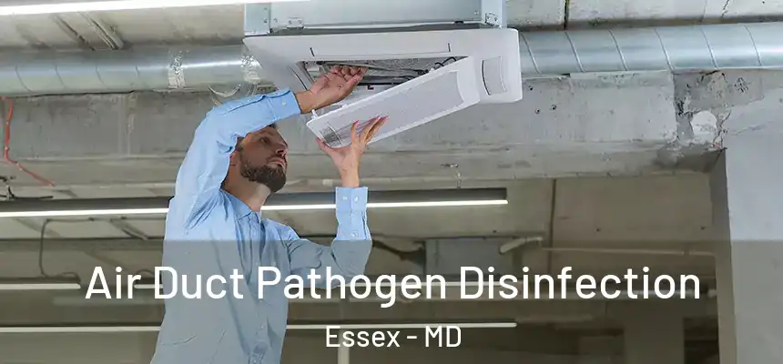  Air Duct Pathogen Disinfection Essex - MD