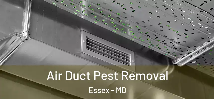  Air Duct Pest Removal Essex - MD