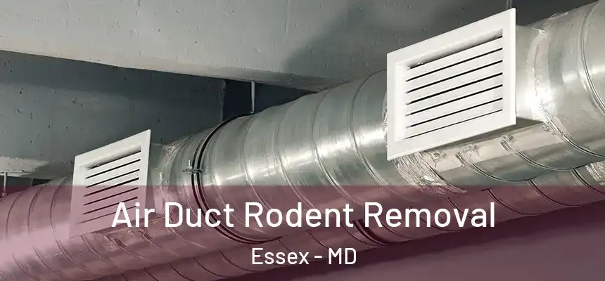  Air Duct Rodent Removal Essex - MD