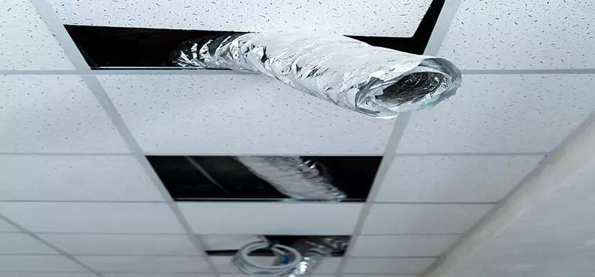 Our Air Duct Pet Hair Removal Services in Essex, MD