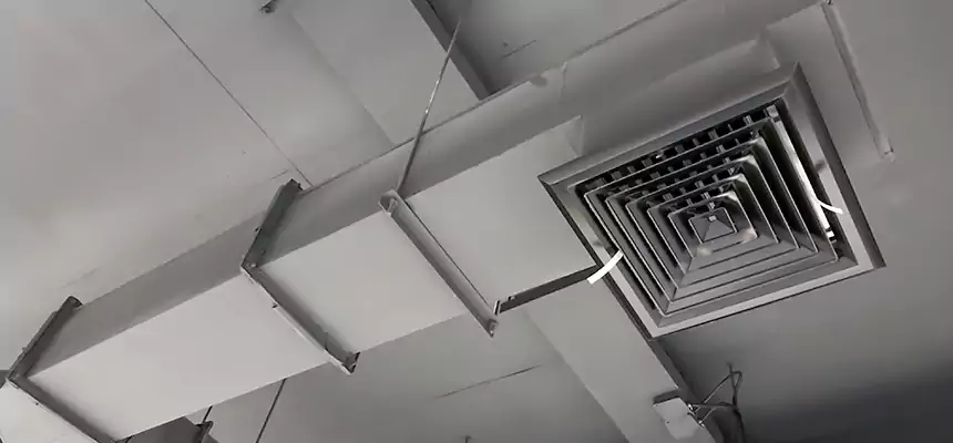 Our Rodent Droppings In Vents Services in Essex, MD