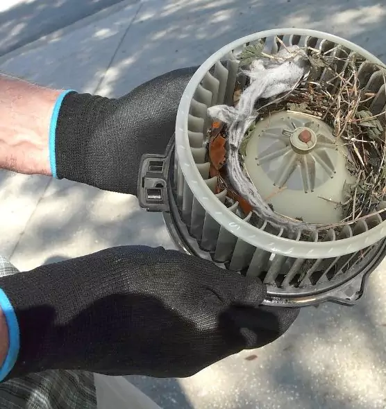 About Air Duct Rat Removal in Essex, MD