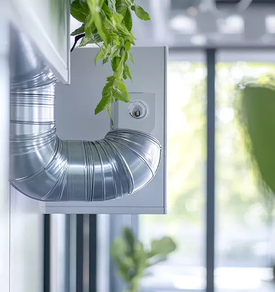 Professional Eco-Safe Dryer Vent Cleaning in Essex, MD