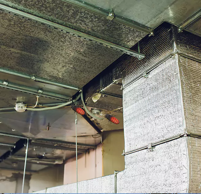 Why Homeowners & Businesses Trust Us in Essex, MD?